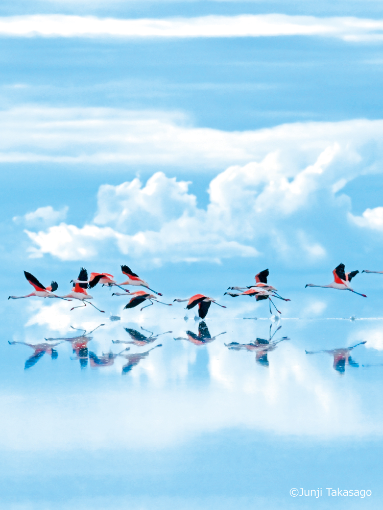 ダイキンAIRカレンダー 空気に抱かれる惑星（ほし）©Junji Takasago